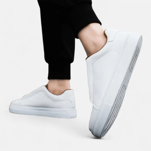 Classic Low Top Sneakers for Everyday Occasions