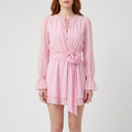 Floralia - Pink Long Sleeve Mini Dress